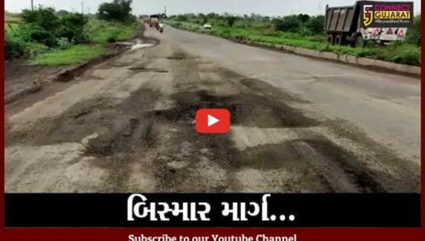 ભરૂચ: દક્ષિણ ગુજરાતથી સરદાર પ્રતિમાને જોડતો રાજ્ય ધોરીમાર્ગની હાલત બિસ્માર