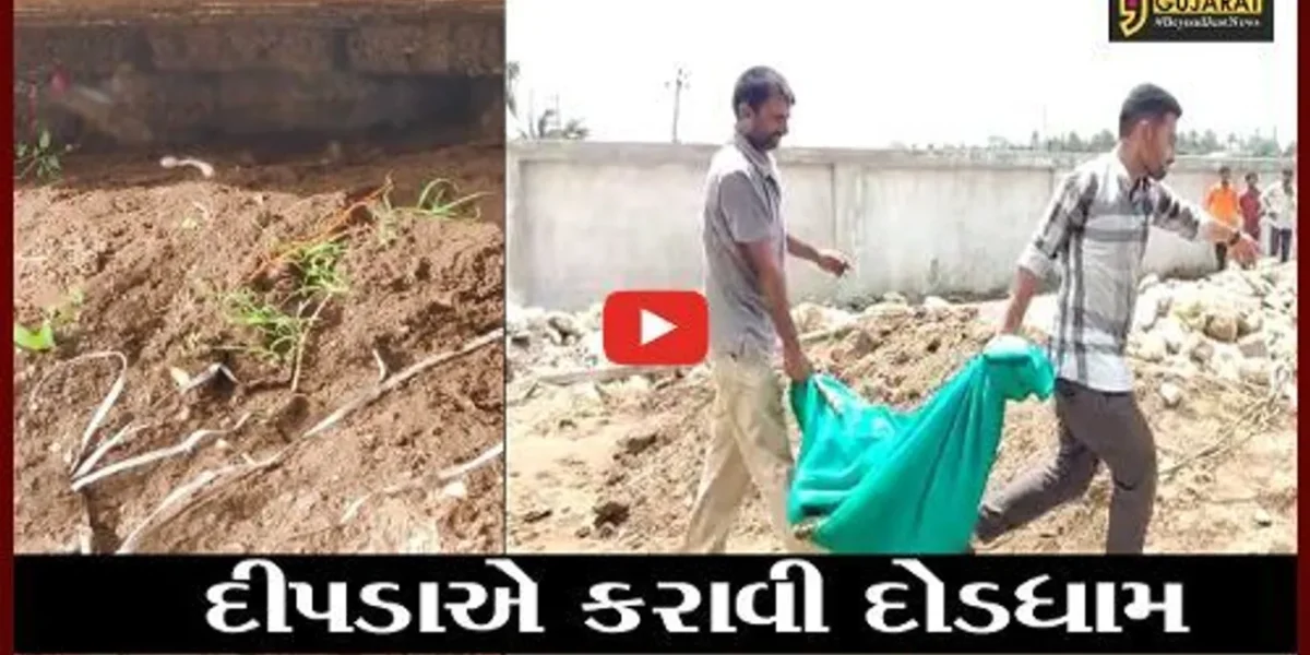 ગીર સોમનાથ : યાત્રાધામ સોમનાથ નજીક આવી ચઢયો દીપડો, જુઓ રેસ્કયુ ઓપરેશન