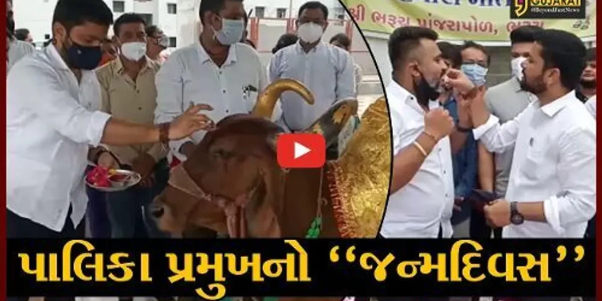 ભરૂચ : નગરપાલિકાના પ્રમુખે ગૌમાતાની પૂજા-અર્ચના સાથે કરી જન્મદિવસની ઉજવણી