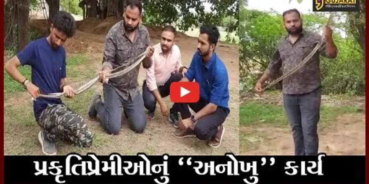 સુરેન્દ્રનગર : વઢવાણના પ્રકૃતિપ્રેમી યુવાનોનું અનોખુ કાર્ય
