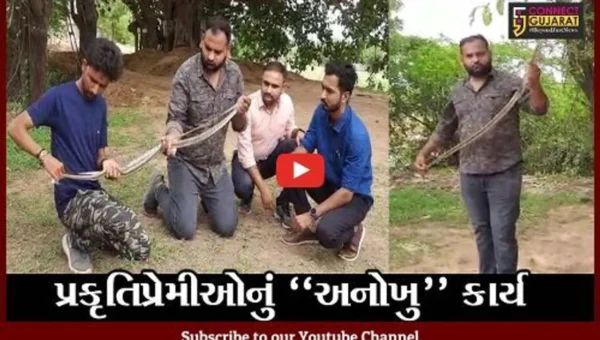 સુરેન્દ્રનગર : વઢવાણના પ્રકૃતિપ્રેમી યુવાનોનું અનોખુ કાર્ય