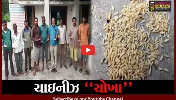 આણંદ : લક્ષ્મીપુરા શાળામાં પ્લાસ્ટિકના ચાઇનીઝ ચોખા ફાળવ્યા હોવાનો આક્ષેપ, ગ્રામજનોએ મચાવ્યો હોબાળો