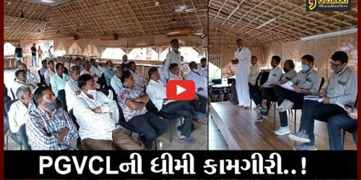અમરેલી : PGVCL સામે ખેડૂતોએ બાયો ચઢાવી, છેલ્લા 3 મહિનાથી મળ્યો નથી વિજ પુરવઠો..!