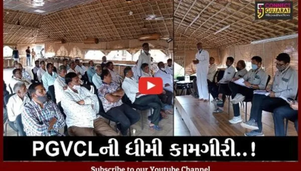 અમરેલી : PGVCL સામે ખેડૂતોએ બાયો ચઢાવી, છેલ્લા 3 મહિનાથી મળ્યો નથી વિજ પુરવઠો..!