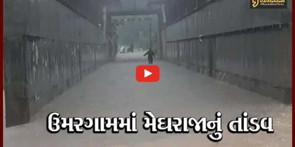 વલસાડ : ઉમરગામમાં દર કલાકે એક ઇંચ વરસાદ, 12 ઇંચ વરસાદથી પાણી જ પાણી