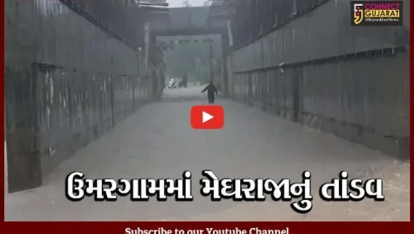 વલસાડ : ઉમરગામમાં દર કલાકે એક ઇંચ વરસાદ, 12 ઇંચ વરસાદથી પાણી જ પાણી