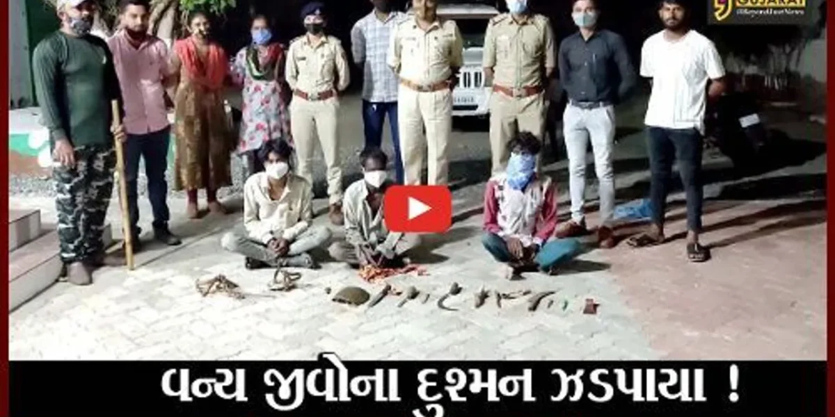ગીર સોમનાનાથ: વન્ય જીવોનો શિકાર કરતા 4 શિકારીઓની ધરપકડ