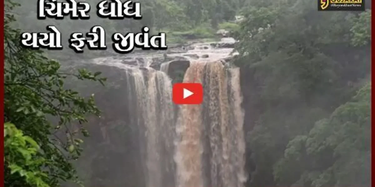 તાપી : પ્રાકૃતિક સૌંદર્યથી ભરપૂર સોનગઢ તાલુકાનો ચિમેર ધોધ, જુઓ અલભ્ય દ્રશ્યો..!
