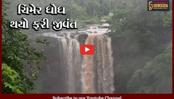 તાપી : પ્રાકૃતિક સૌંદર્યથી ભરપૂર સોનગઢ તાલુકાનો ચિમેર ધોધ, જુઓ અલભ્ય દ્રશ્યો..!