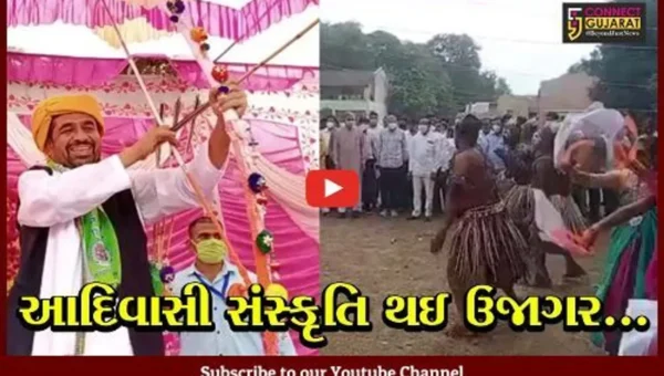 રાજયમાં વિશ્વ આદિવાસી દિવસની કરવામાં આવી ઉજવણી, ઠેર ઠેર યોજાયા કાર્યક્રમ