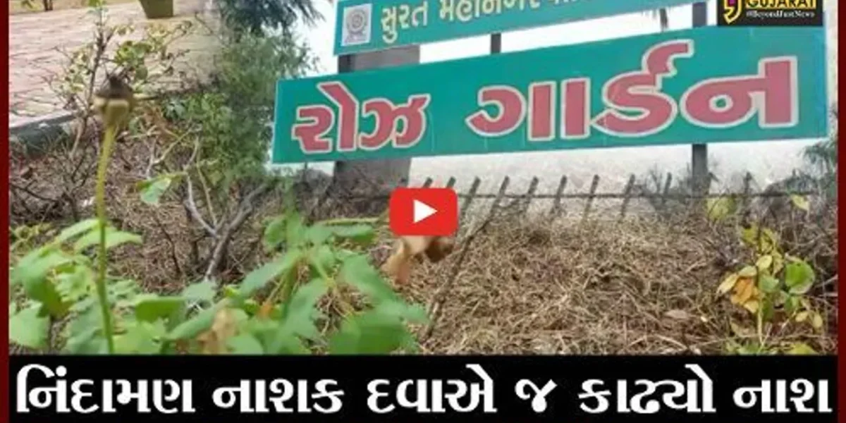 સુરત : રોઝ ગાર્ડનમાં જ થયો ગુલાબના છોડોનો નાશ, પ્રકૃતિપ્રેમીઓમાં નારાજગી