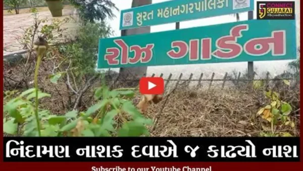 સુરત : રોઝ ગાર્ડનમાં જ થયો ગુલાબના છોડોનો નાશ, પ્રકૃતિપ્રેમીઓમાં નારાજગી