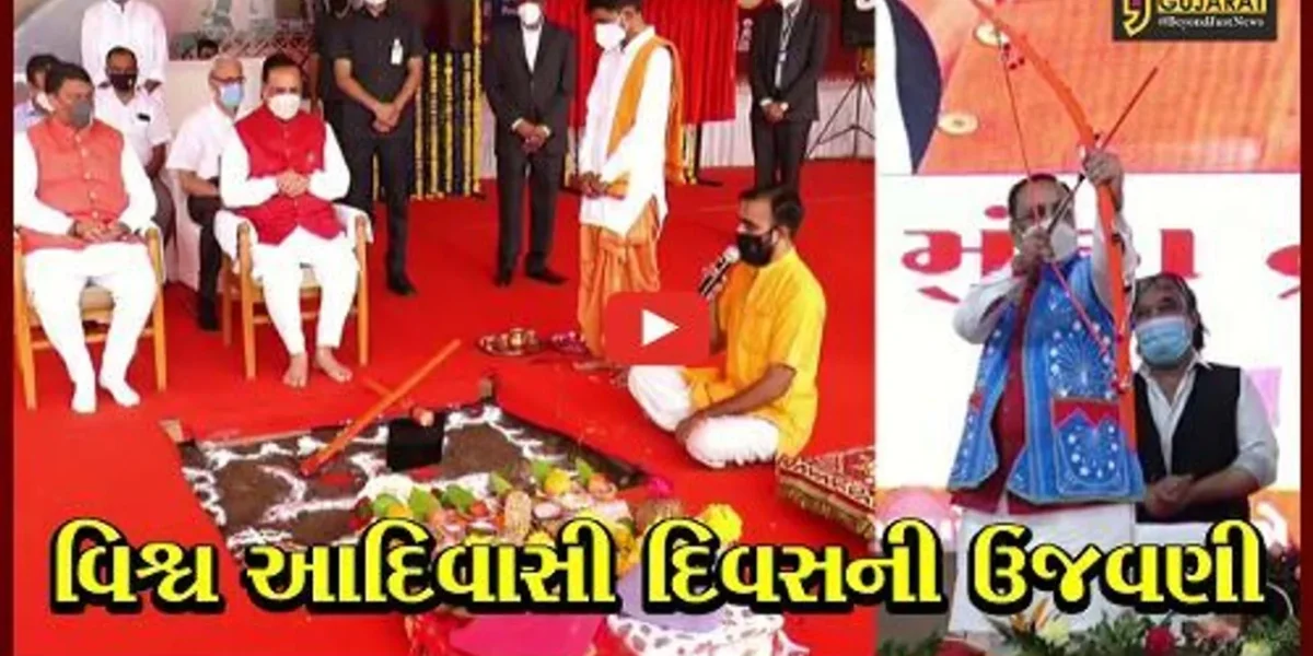 નર્મદા : રાજયમાં વહેલી ચુંટણીની કોઇ શકયતા નથી : સીએમ વિજય રૂપાણી