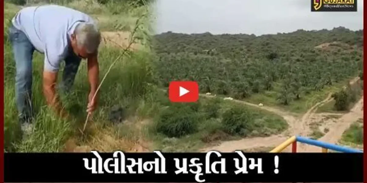 કરછ: ભુજના નિવૃત્ત પોલીસ અધિકારીનો પ્રકૃતિ પ્રેમ, વાવ્યા 10 હજાર વૃક્ષ