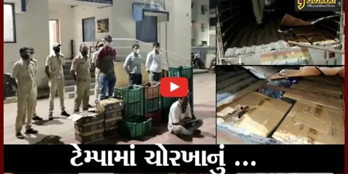 ભરૂચ : નેત્રંગમાં પોલીસે ઝડપી પાડયો વિદેશી દારૂ, જુઓ કયાં સંતાડી હતી દારૂની પેટીઓ