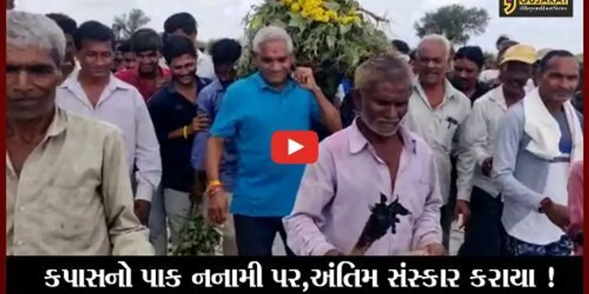 ભરૂચ: કાનમ પ્રદેશના ખેડૂતોએ કપાસના પાકની કાઢી સ્મશાન યાત્રા,જાણો કારણ