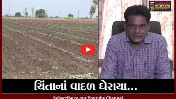 રાજકોટ: ઓછા વરસાદને કારણે ખેડૂતોમાં ચિંતા; પાક નિષ્ફળ જવાની ભિંતી
