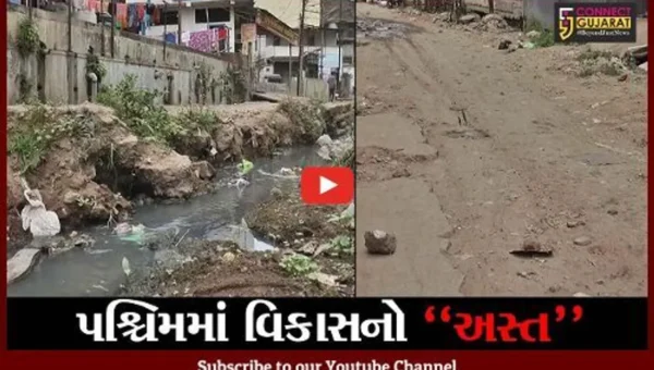 ભરૂચ : પશ્ચિમ વિસ્તારમાં સમસ્યાઓની ભરમાર, સ્થાનિકો પુછે છે “વિકાસ” કયાં ?