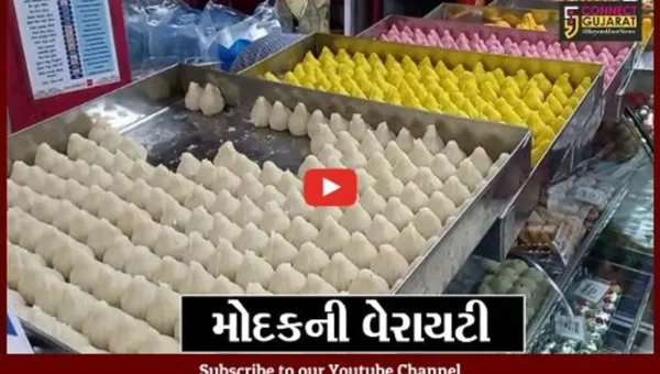 જામનગર : 16 પ્રકારના મોદક લાડુએ જમાવ્યું શ્રીજીભક્તોમાં આકર્ષણ, જુઓ તમે પણ..