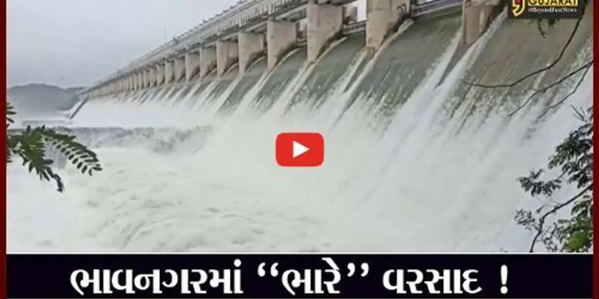 ભાવનગર: શેત્રુજી ડેમ આજે ફરી એક વખત ઓવરફલો, ડેમના 59 દરવાજા ખોલાયા