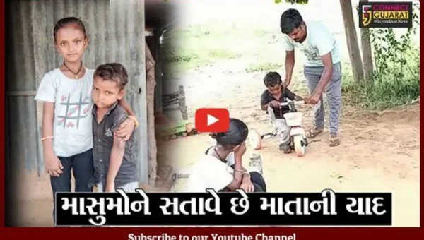 બનાસકાંઠા : માલણ ગામે રહેતી પરણિતા ચાર માસથી ગુમ, બે સંતાનોની હાલત દયનીય
