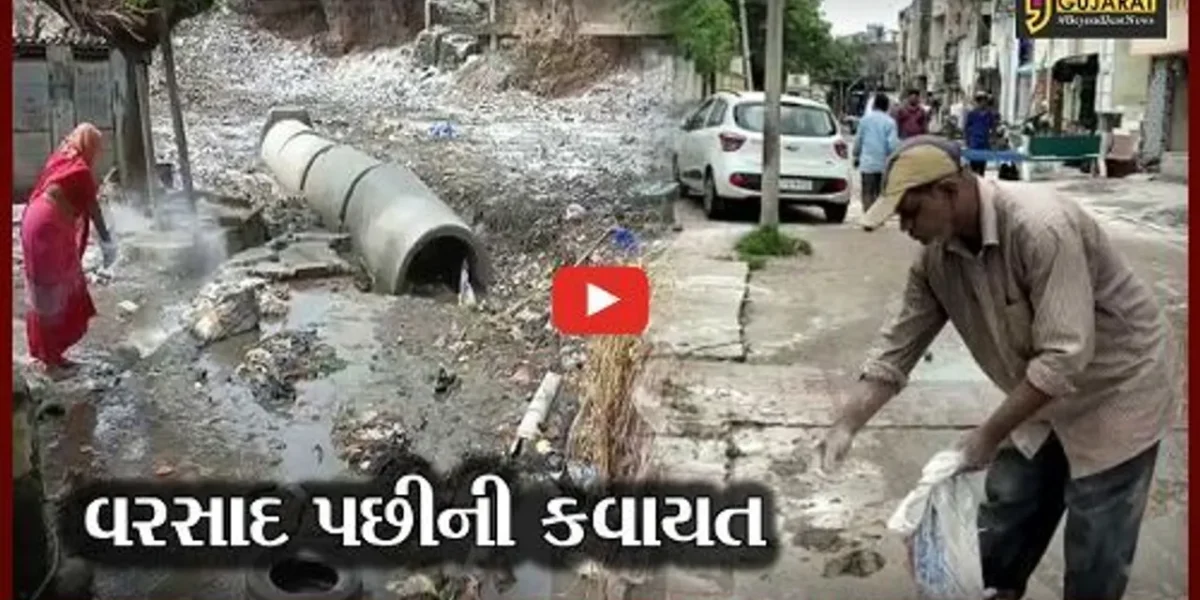 ભરૂચ અને અંકલેશ્વરમાં વરસાદનો વિરામ, પાલિકાએ હાથ ધર્યું સફાઇ અભિયાન