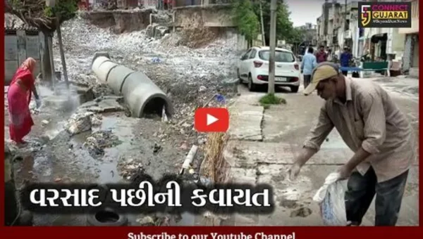 ભરૂચ અને અંકલેશ્વરમાં વરસાદનો વિરામ, પાલિકાએ હાથ ધર્યું સફાઇ અભિયાન