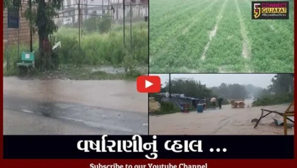 રાજયવાસીઓને જન્માષ્ટમીનું પર્વ ફળ્યું, સાર્વત્રિક વરસાદથી સર્વત્ર ખુશહાલીનો માહોલ
