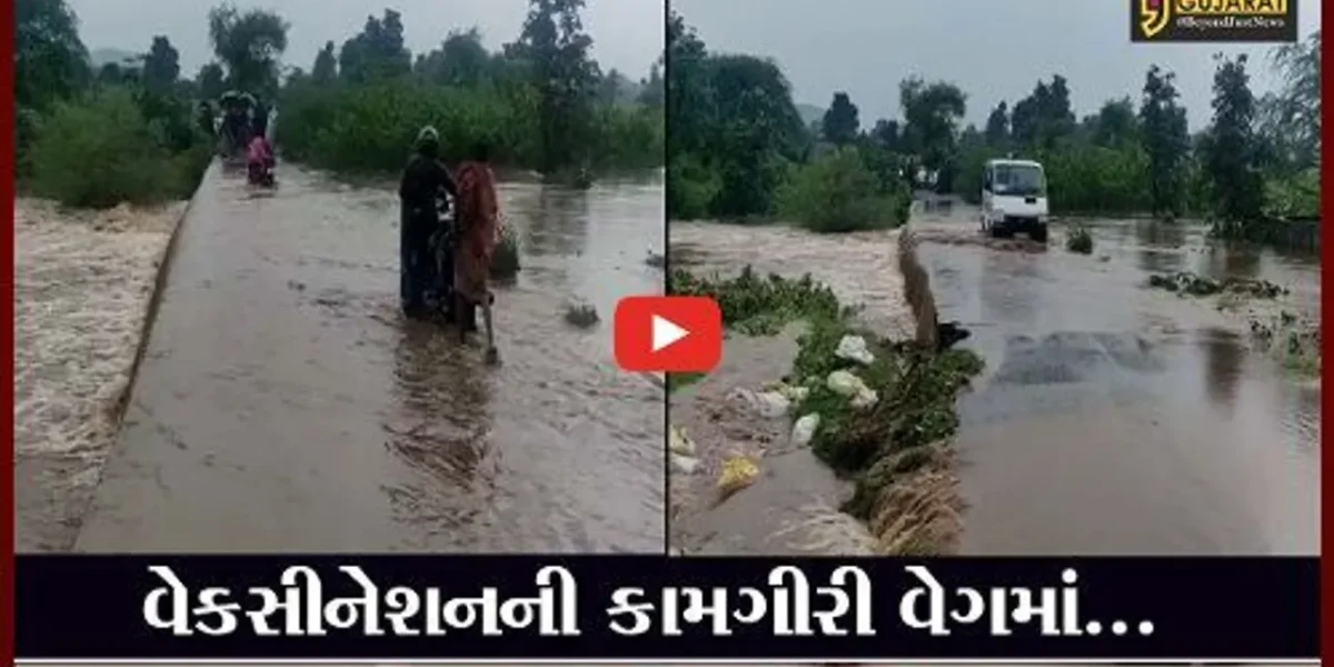 છોટાઉદેપુર : વેકસીનેશન માટે ચાર કીમીની “પદયાત્રા”, પાકા રસ્તાના અભાવે કર્મચારીઓને હાલાકી