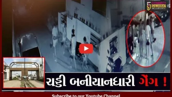 નર્મદા: વડિયા ગામમાં ચડ્ડી બનીયાનધારી ગેંગનો આતંક, તસ્કરો સીસીટીવી કેમેરામાં કેદ