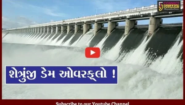 ભાવનગર: શેત્રુંજી ડેમ ઓવરફ્લો થતા 17 ગામોને એલર્ટ જાહેર કરાયા