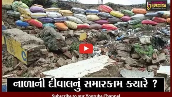 ભરૂચ: નન્નુમિયા નાળાની દીવાલનો ભાગ ધરાશાયી, સમારકામ ન કરાતા લોકોમાં રોષ