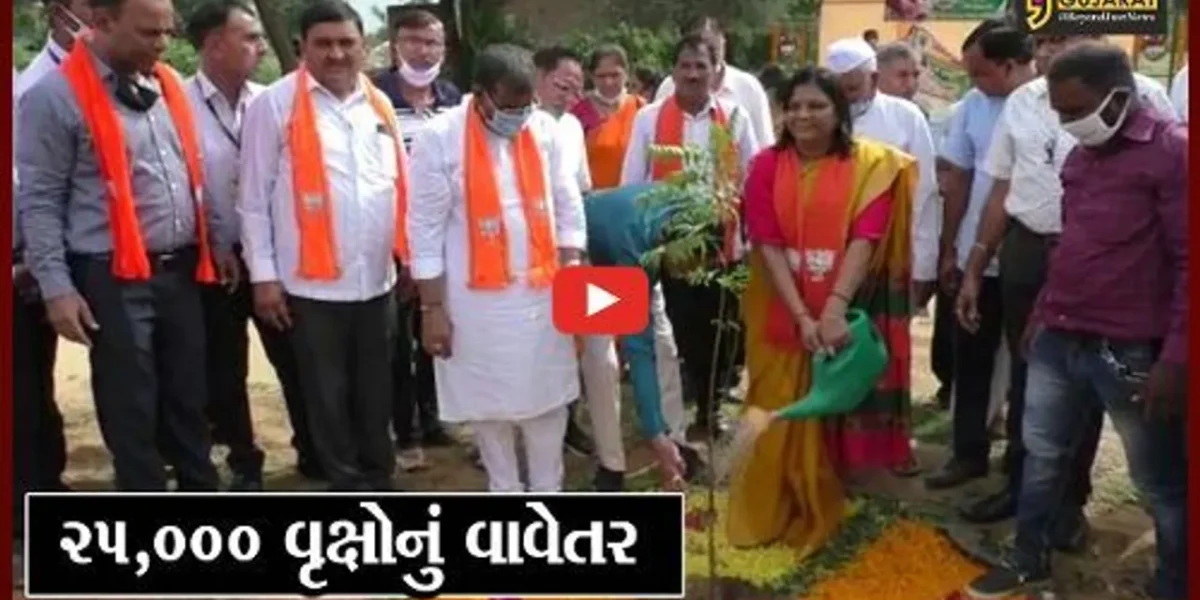 મહેસાણા : ઉંઝા એપીએમસીની વડાપ્રધાનને ભેટ, 25 હજાર વૃક્ષો વાવી તેનું કરાશે જતન