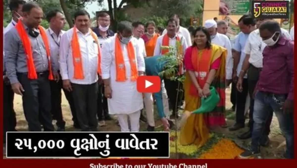 મહેસાણા : ઉંઝા એપીએમસીની વડાપ્રધાનને ભેટ, 25 હજાર વૃક્ષો વાવી તેનું કરાશે જતન