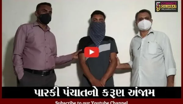 ભાવનગર : થોરડી ગામે મામાના ઘરે ગયેલી સગીરાની હત્યા, બે આરોપીની ધરપકડ
