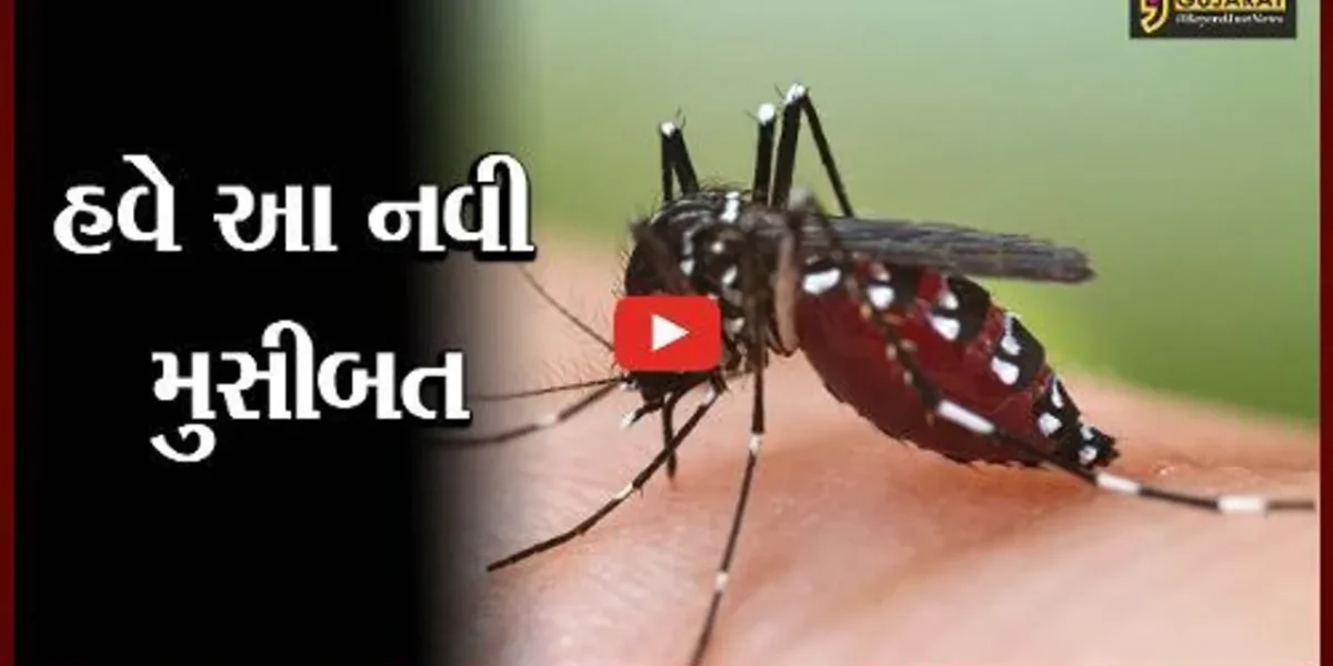 ભાવનગર : કોરોનામાં રાહત તો મચ્છરજન્ય રોગનો પગપેસારો; જાણો તંત્રએ કરી શું કરી તૈયારીઓ