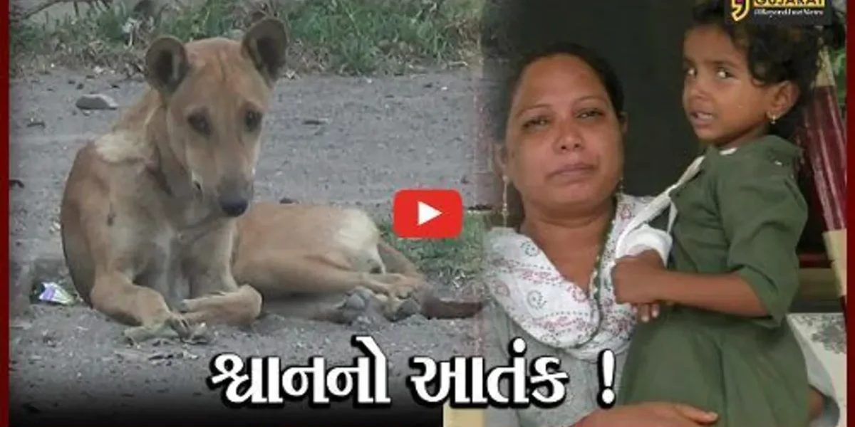 નવસારી: ગણદેવીના ગોયંદી ગામે શ્વાનનો આતંક, 15થી વધુ લોકોને બચકા ભર્યા