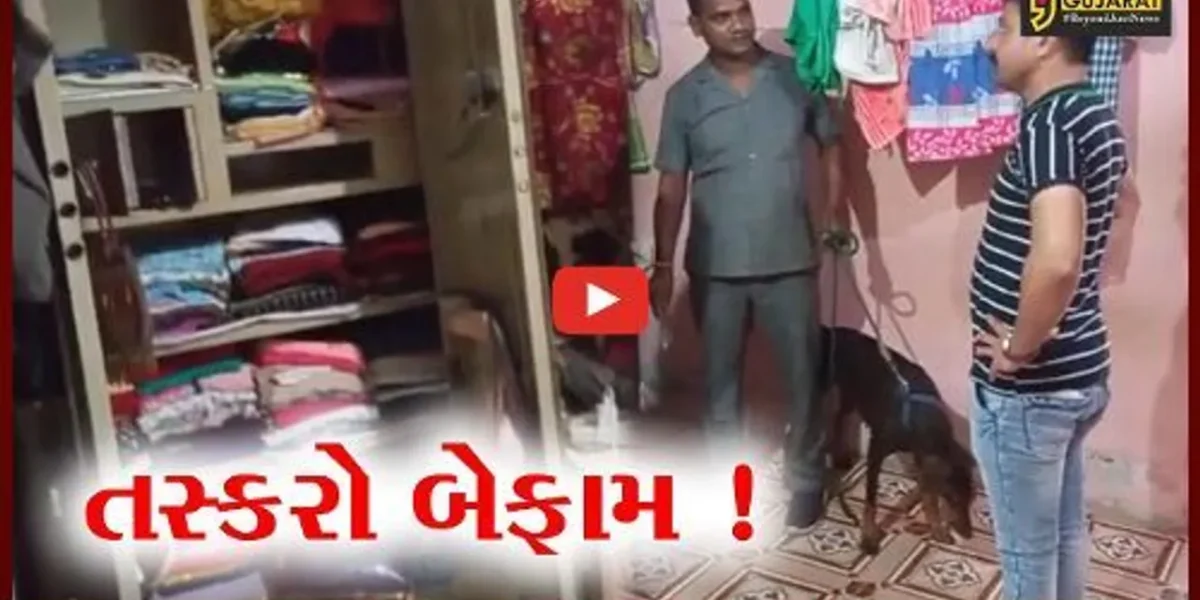 ભરૂચ: જંબુસર-આમોદમાં તસ્કરોનો તરખાટ,એક જ રાતમાં 4 મકાન અને દુકાનને બનાવ્યું નિશાન