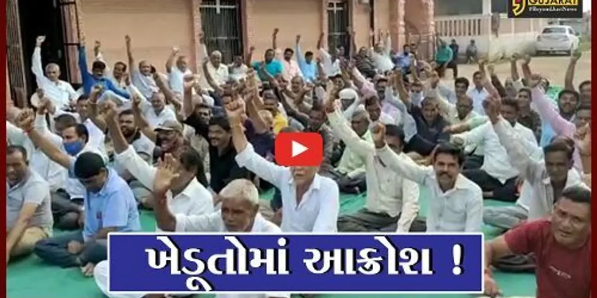 ભરૂચ: આમોદના દાંદા ગામે ખેડૂત સંમેલન યોજાયું, કેમિક્લના કારણે કપાસના પાકને નુકશાનના મામલે કરાયો વિરોધ