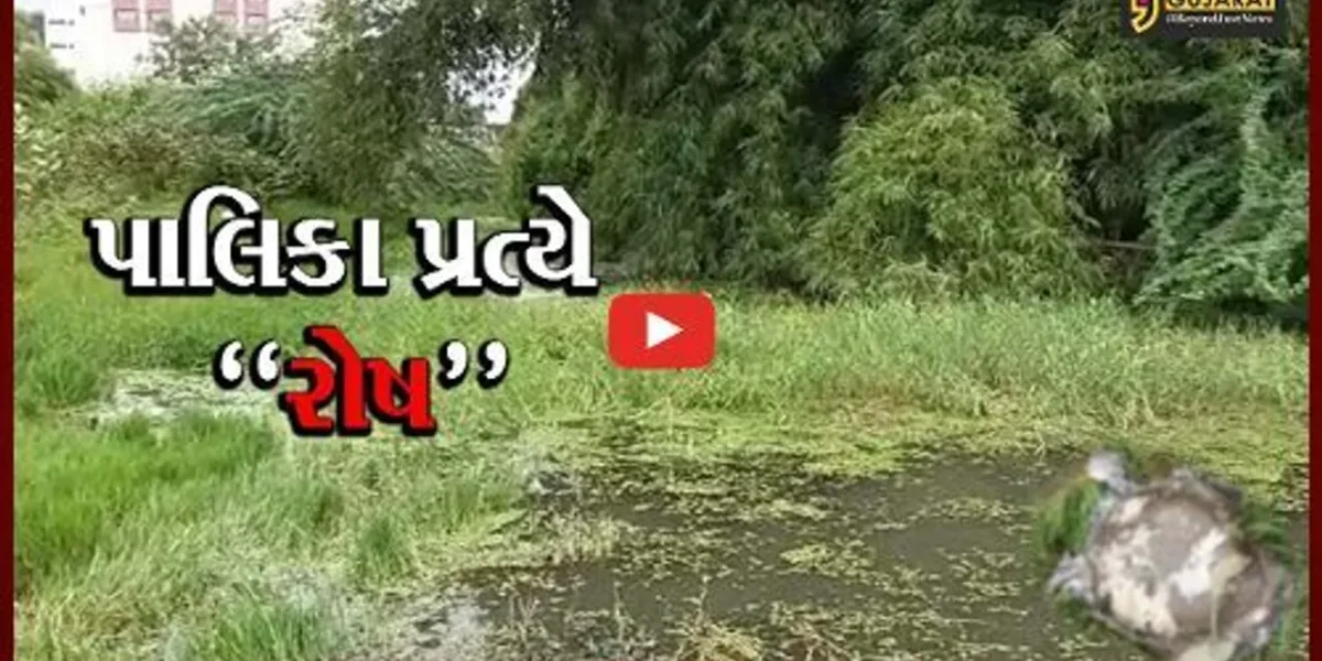 ભરૂચ : રતન તળાવમાં વધુ એક કાચબાનું મોત, પાલિકા પ્રત્યે સ્થાનિકોમાં રોષ