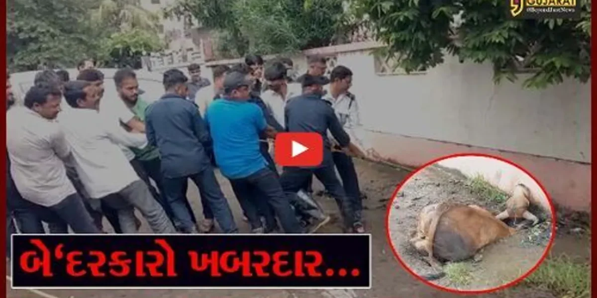 અંકલેશ્વર : નોટીફાઇડ એરિયા સુવિધાઓ પુરી પાડવામાં નિષ્ફળ, બેદરકારો થઇ જાવ “ખબરદાર”