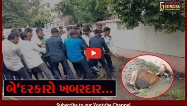 અંકલેશ્વર : નોટીફાઇડ એરિયા સુવિધાઓ પુરી પાડવામાં નિષ્ફળ, બેદરકારો થઇ જાવ “ખબરદાર”