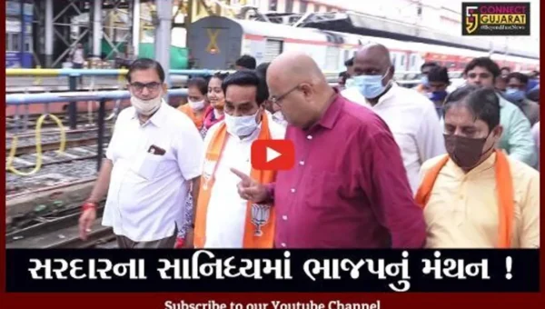 કેવડીયા ખાતે ભાજપની હાઈટેક કારોબારી, સી.આર.પાટિલ સહિતના નેતાઓ ટ્રેન મારફતે પહોંચ્યા સરદાર પટેલના સાનિધ્યમાં