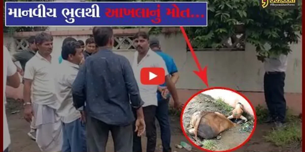 અંકલેશ્વર : “જાડી ચામડી” ના અધિકારીઓએ “જાડી ચામડી” ના નિર્દોષ પશુનો લીધો ભોગ, જુઓ શું છે આખી ઘટના