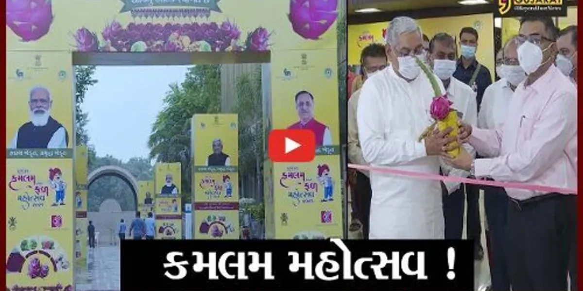 અમદાવાદ: કર્ણાવતી ક્લબમાં કમલમ અને ફળ મહોત્સવ શરૂ, 35% ઉત્પાદન સાથે ગુજરાતઅગ્રેસર