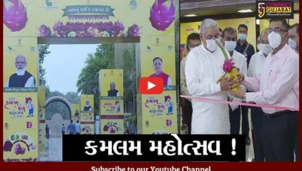 અમદાવાદ: કર્ણાવતી ક્લબમાં કમલમ અને ફળ મહોત્સવ શરૂ, 35% ઉત્પાદન સાથે ગુજરાતઅગ્રેસર