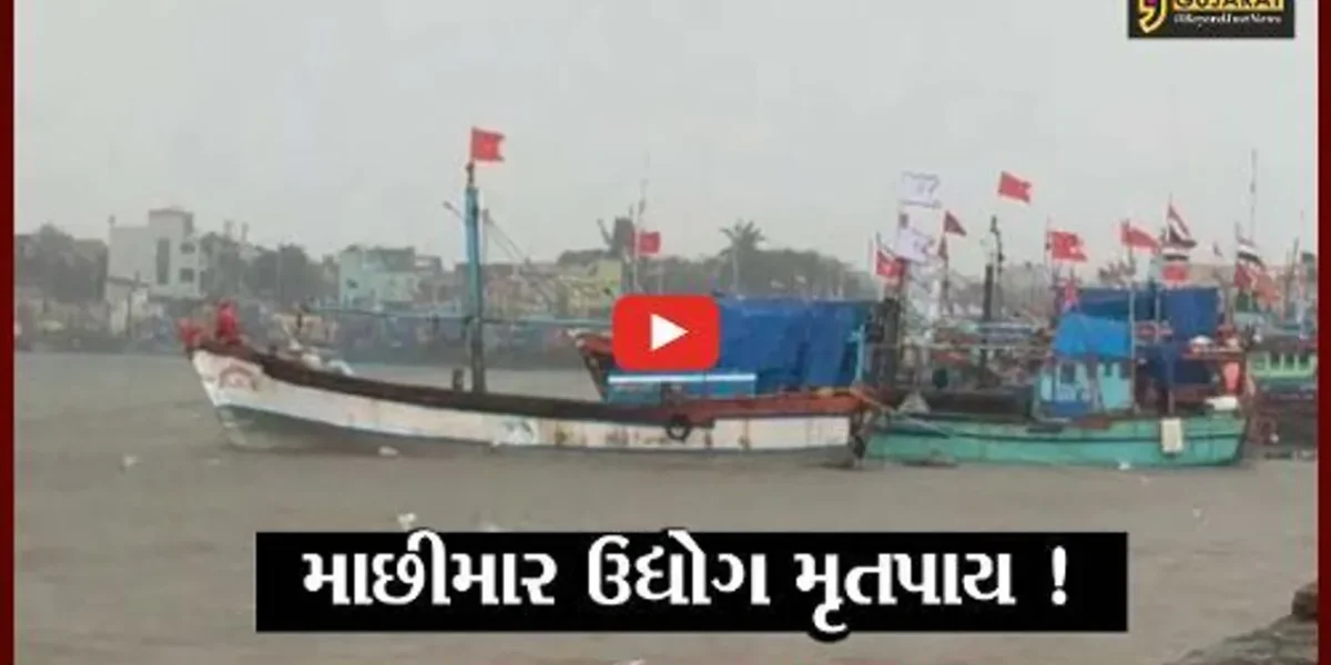 અમદાવાદ: ગુજરાતનો માછીમાર ઉદ્યોગ મૃતપાય અવસ્થામાં, કોંગ્રેસના ભાજપ પર પ્રહાર