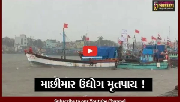 અમદાવાદ: ગુજરાતનો માછીમાર ઉદ્યોગ મૃતપાય અવસ્થામાં, કોંગ્રેસના ભાજપ પર પ્રહાર
