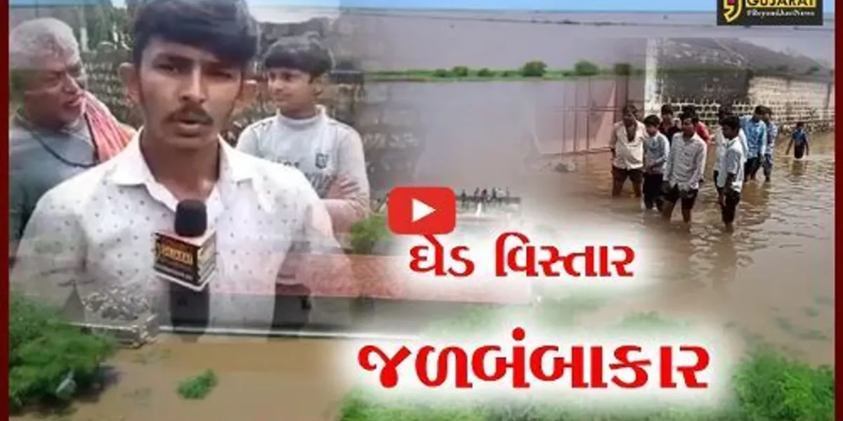 જુનાગઢ: મેઘરાજાએ ધેડ પંથકમાં વરસાવ્યો કહેર, જયાં જુઓ ત્યાં પાણી જ પાણી