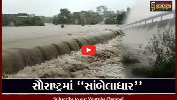 સૌરાષ્ટ્રભરમાં “શ્રીકાર” વરસાદ, પાણી ફરી વળતાં અનેક વિસ્તારોમાં જળબંબાકાર